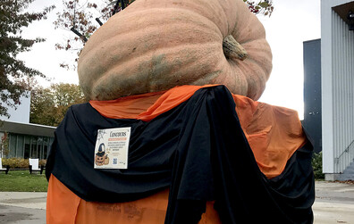 Des concours, des gagnants et une grosse citrouille!