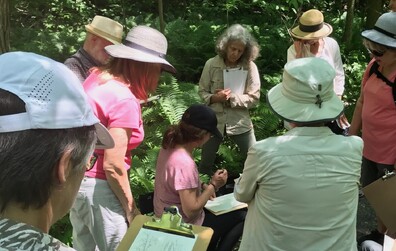Une immersion artistique au coeur des paysages magnymontois
