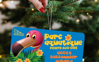 Le parc aquatique Pointe-aux-Oies en cadeau pour Noël