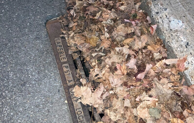 La Ville demande l'aide des citoyens pour dégager les grilles de rues