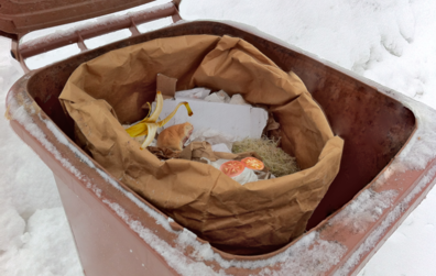 Les bacs bruns en période hivernale