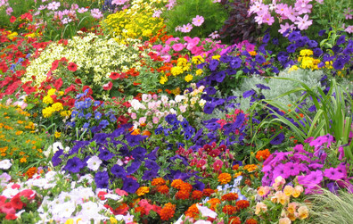 Les beaux jours s'en viennent... Profitons-en pour embellir le milieu magnymontois