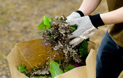 Reprise des cueillettes de résidus verts à Montmagny