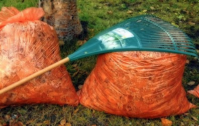 Une collecte spéciale sera effectuée pour ramasser les résidus verts mis dans des sacs de plastique