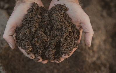 Distribution gratuite de compost le 24 mai à Montmagny