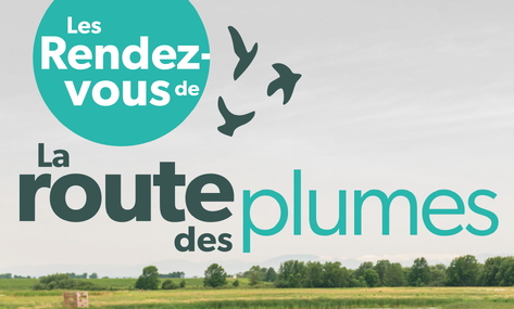 Un premier rendez-vous ornithologique dans la région